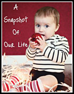 A Snapshot of Our Life