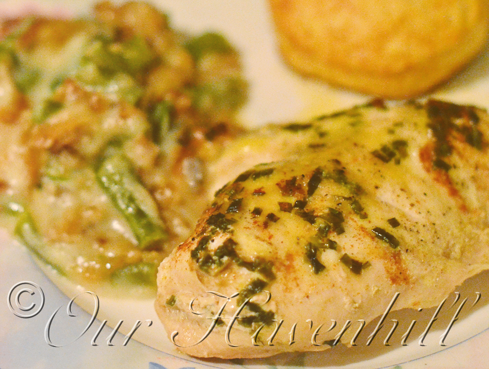 creamy chicken copy